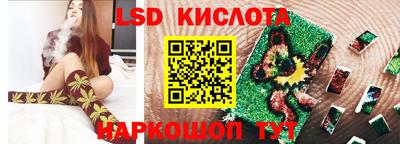 jwh Кингисепп