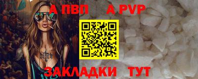 jwh Кингисепп
