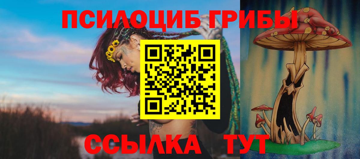 Галлюциногенные грибы мицелий Костомукша